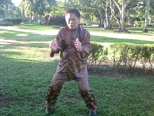 Sun Style Taijiquan